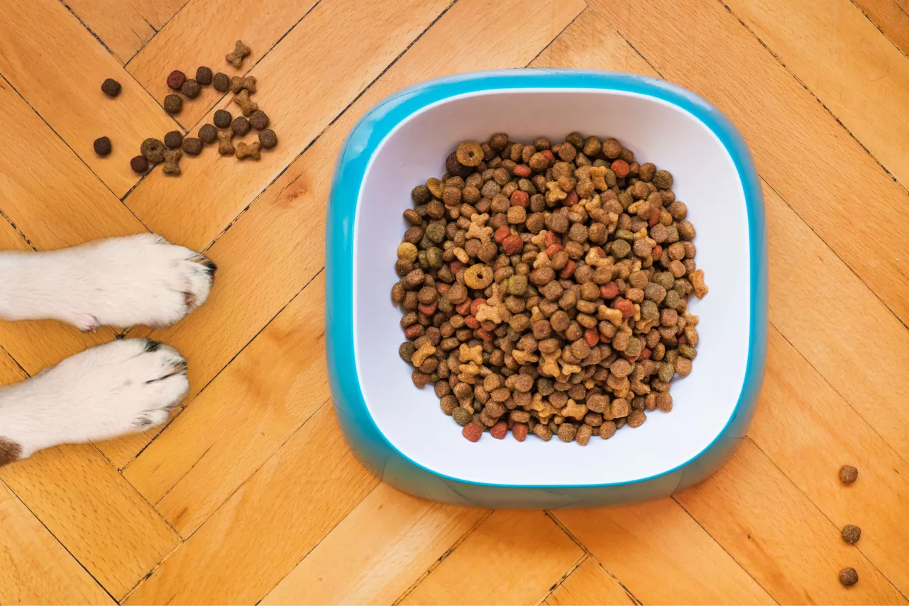 Hundefutter